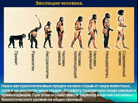 От Карлы к Смурфетте: эволюция внешности и имени