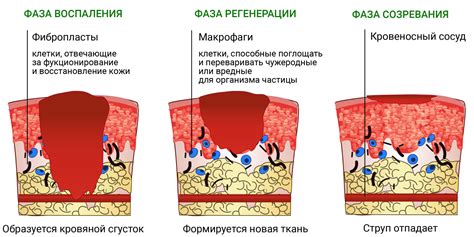 От раздражения кожи до солнечных ожогов: причины покраснения