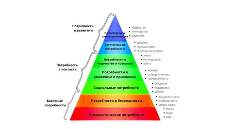Оформление и уход за пирамидой