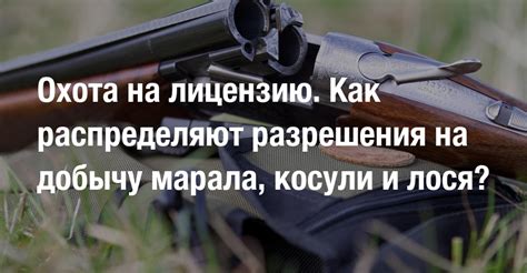 Охота на добычу