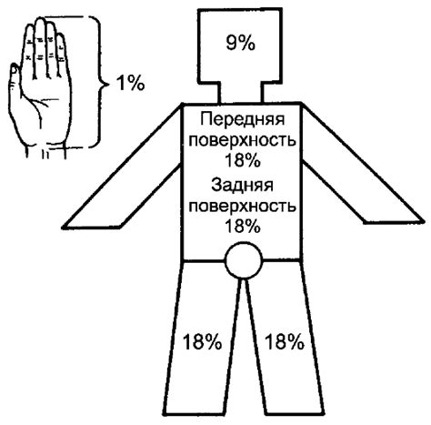 Оценка глубины ожога