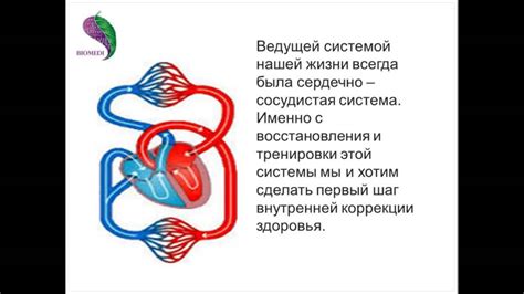 Оценка памяти и интеллекта в пожилом возрасте
