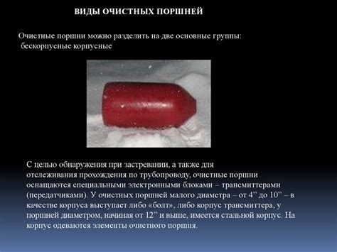 Очистка внутренней полости щупалец