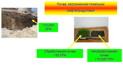 Очистка почвы и воды от радиации