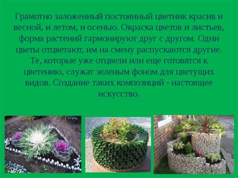 Очищение горных композиций осенью и весной