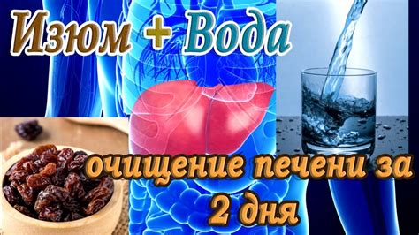 Очищение крови и печени