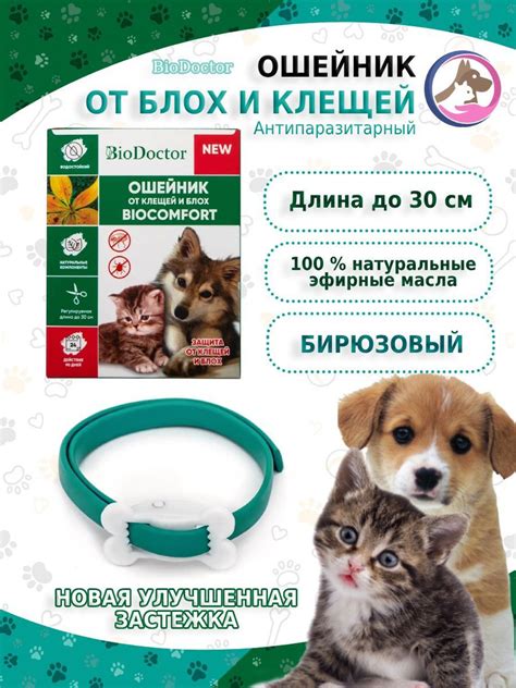 Ошейник от блох для котят