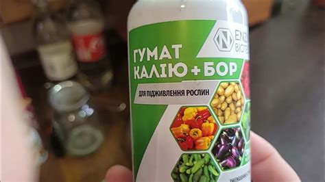 О поливе и увлажнении
