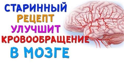 Паническая атака влияет на кровообращение в головном мозге