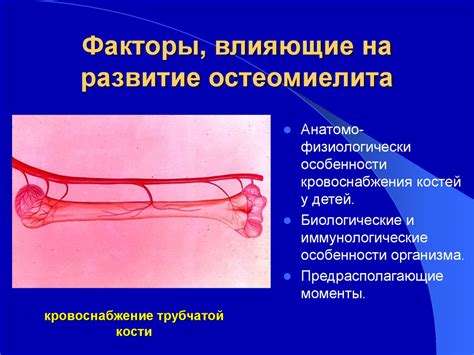 Патогенез и факторы, влияющие на развитие ихтитоза