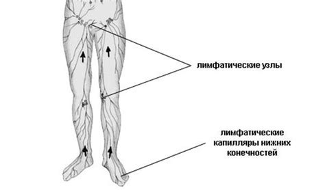 Патологические причины увеличения лимфоузла в паху у женщин
