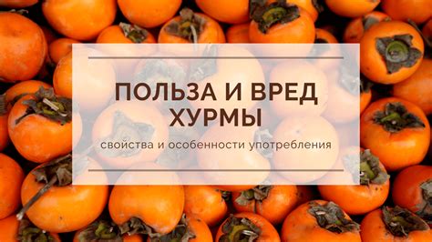 Педантичные правила употребления хурмы