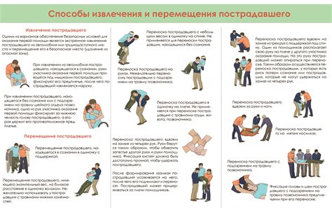 Первая помощь при подавлении у собаки: инструкция для хозяев