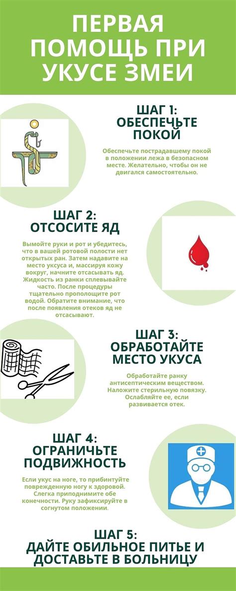 Первая помощь при укусе осами: что следует предпринять