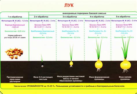 Первая причина: неправильный режим полива