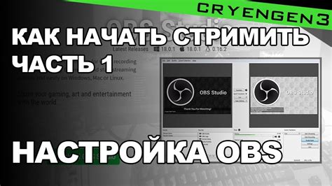 Первоначальная настройка чайки