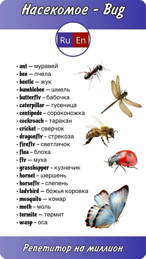 Перевод на английский язык слова "насекомые"