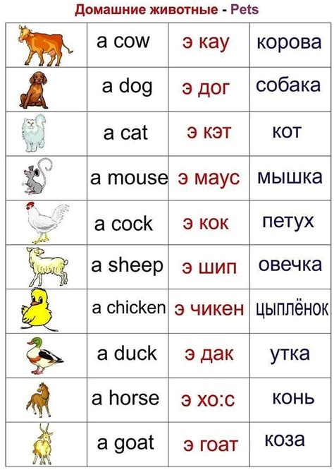 Перевод слова "ежик" на английский: полное руководство и лучшие советы