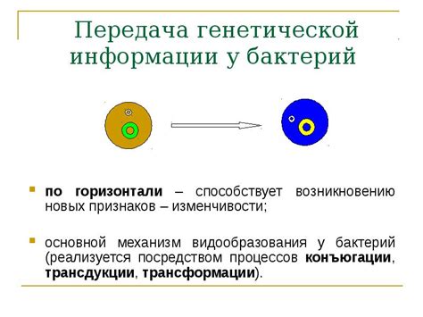 Передача антибиотикорезистентных бактерий