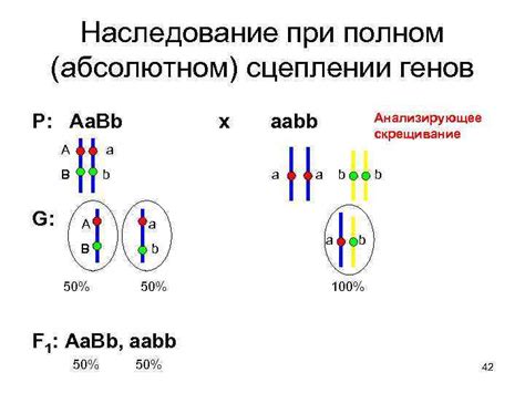Передача генетических факторов и цвет панциря