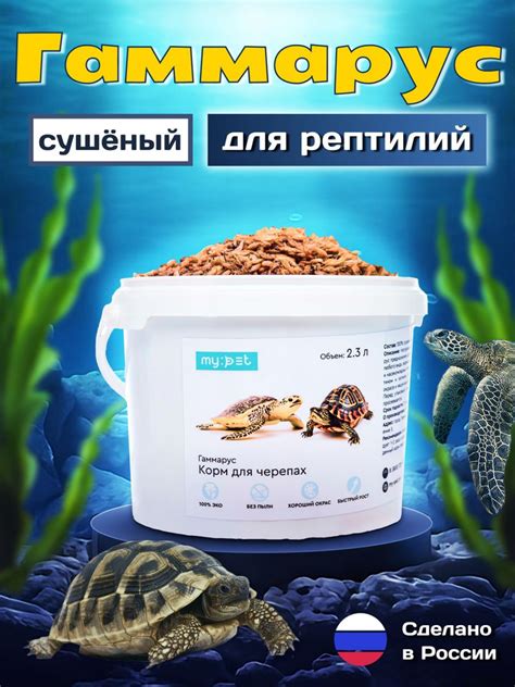 Перекормка аквариумных животных
