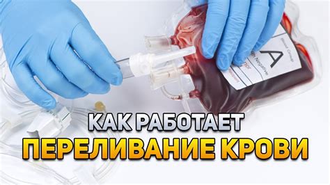Переливание крови