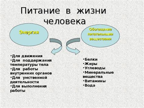 Перенасыщение питательными веществами