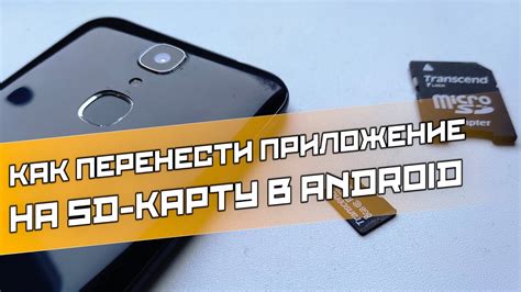 Перенесите данные на внешнюю память