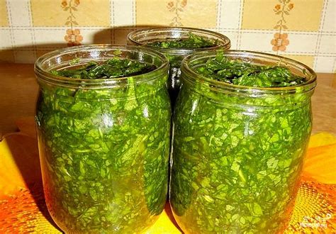 Переработка щавеля в соусы и пряности