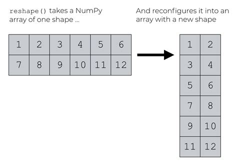 Переформируйте данные без изменения содержимого с reshape numpy
