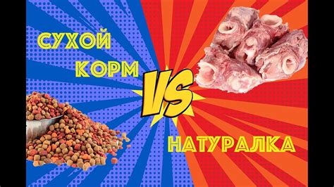 Переход с сухого корма