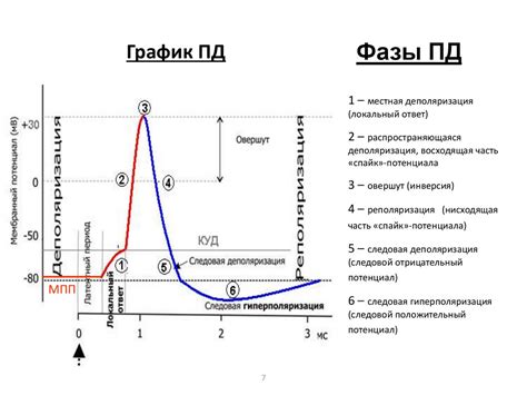 Периоды действия акций