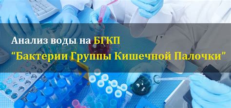 Перспективы развития исследований в области определения БГКП на среде Кесслера