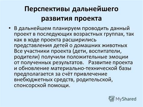Перспективы развития проекта