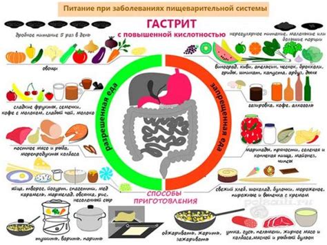 Питание и гастрономические особенности