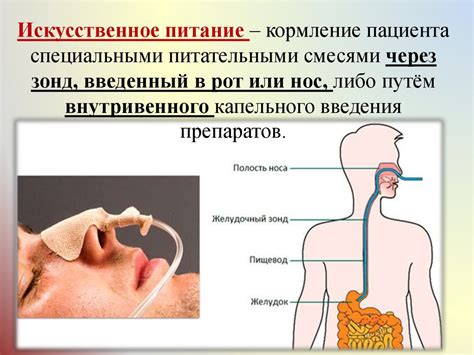 Питание и кормление во время полета