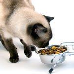 Питание кастрированного кота