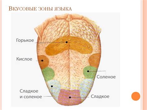 Питательность и вкусовые особенности