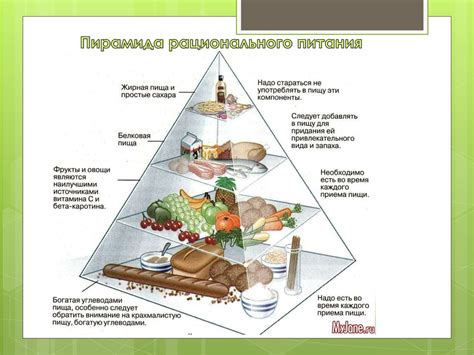 Питательные вещества в тостере