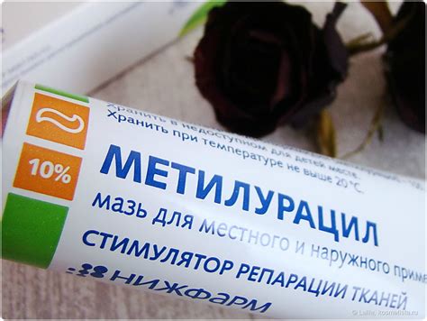 Питательные свойства кокосовой мази для губ