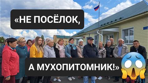 Пишется поселок а не посёлок