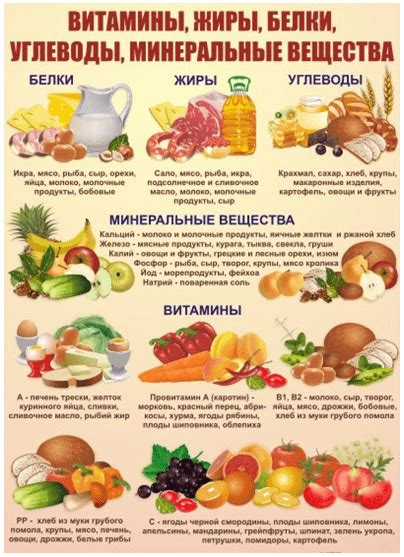 Пища и наше здоровье