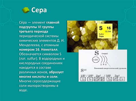 Пиявки - свойства и применение