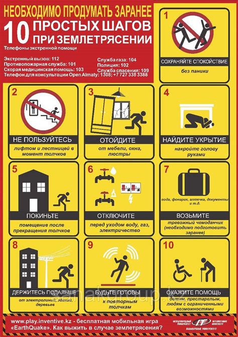 План по возвращению ежa в квартиру: как действовать