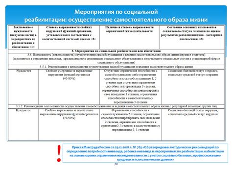 План экономической реабилитации семьи