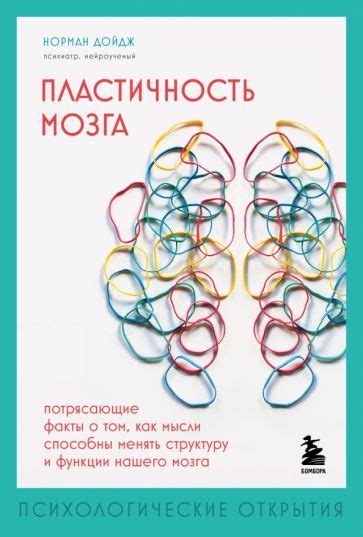 Пластичность мозга: способность к обучению и перестройке