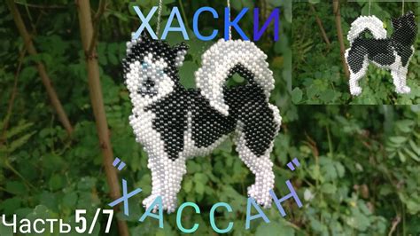 Плетение лап и головы хаски