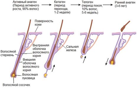Повреждение кожи и рост вросших волосков
