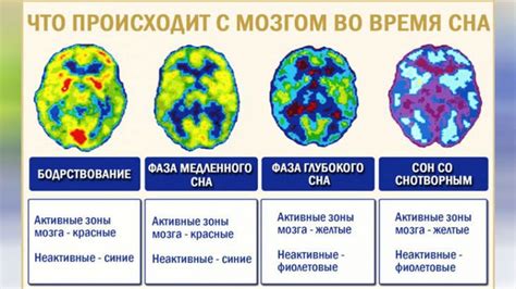 Повышайте свою осознанность во время бодрствования