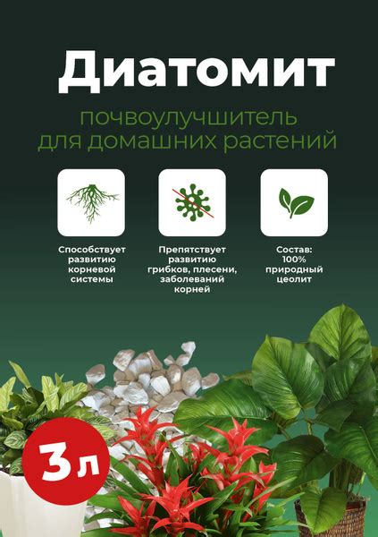 Повышение питательности почвы